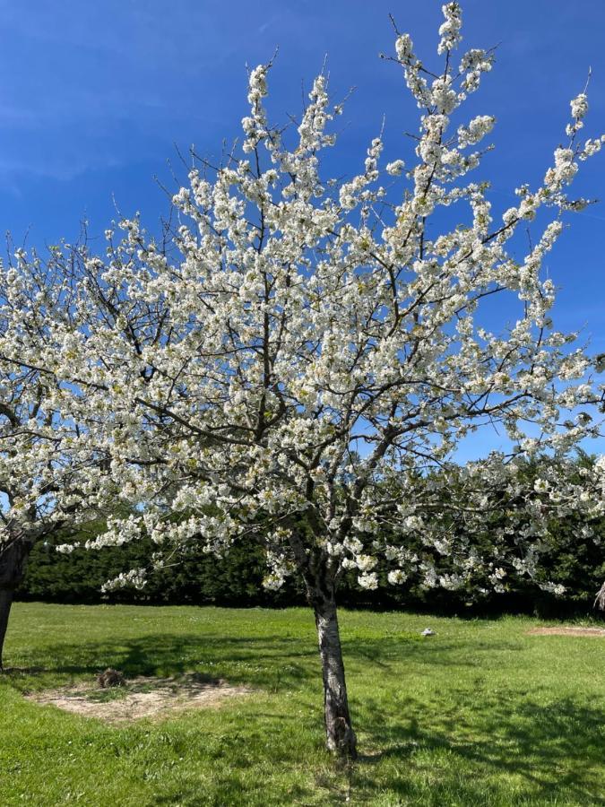 32 Parc Des Sports Chez Catherve Saint-Medard-de-Guizieres Bagian luar foto